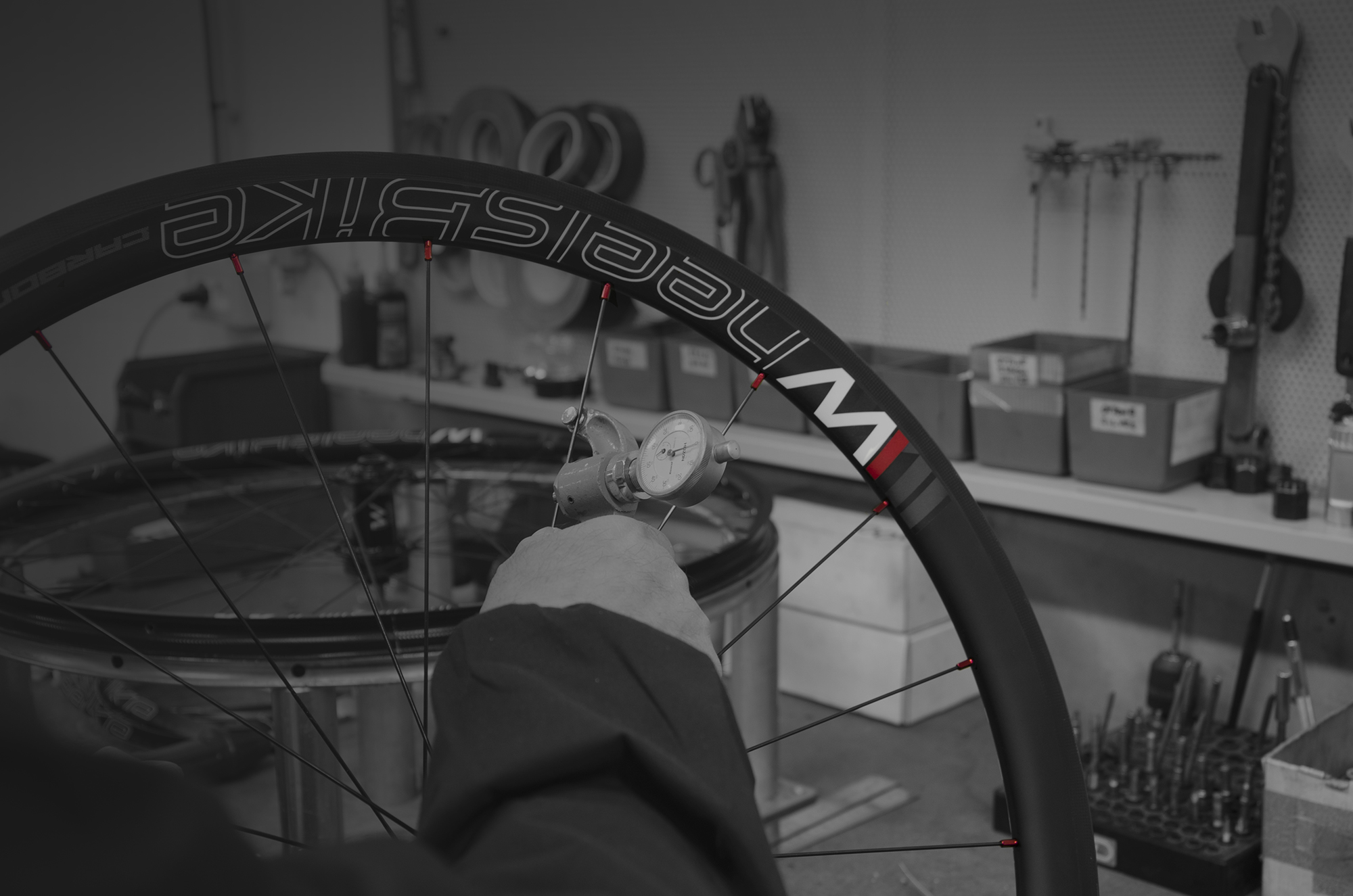 Wheelsbike – Ruote, cerchi e mozzi per MTB, STRADA, CORSA e HANDBIKE
